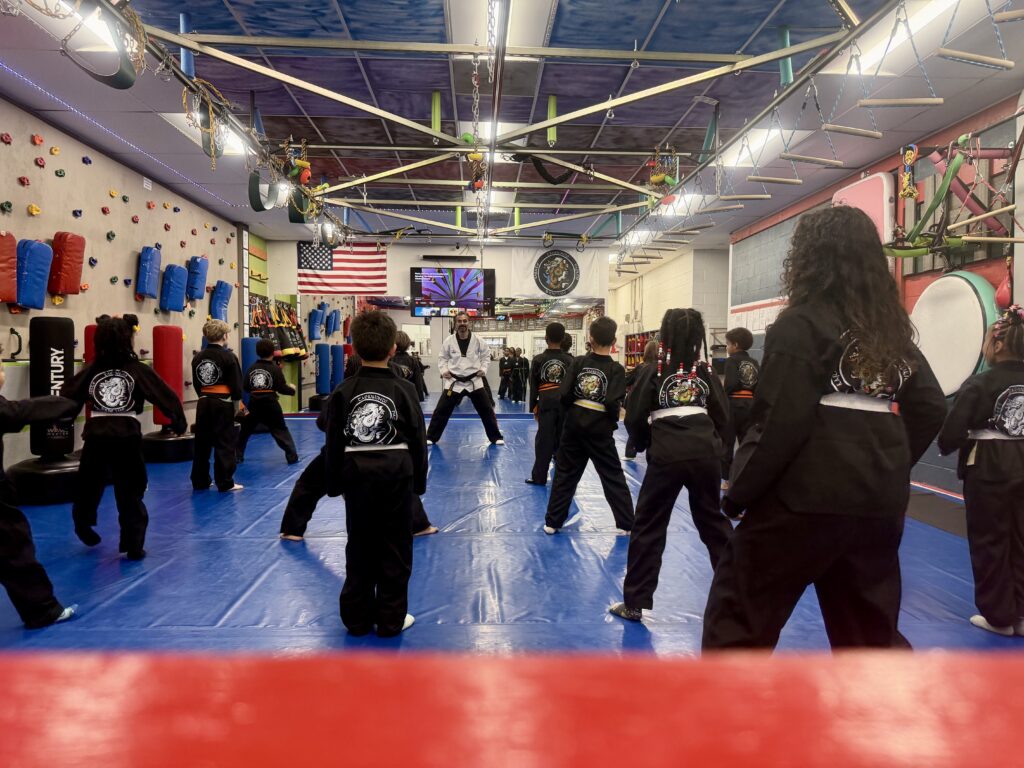 Martial Arts After School Columbia MD